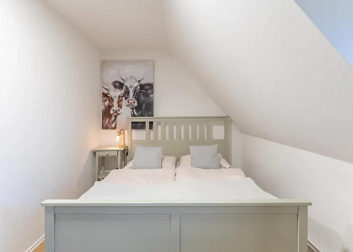 Schipp Landen Elsabea *